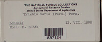 Image Associated With the Occurence